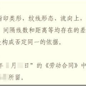 申請勞動仲裁時損失的鑒定費由誰承擔