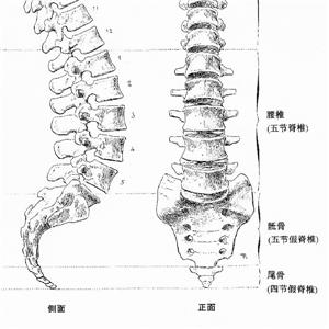 腰3椎體骨折被鑒定為十級工傷