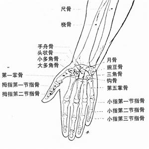 左手示、中指切割傷（近指間關節骨折、關節面缺損、關節囊側副韌帶損傷、血管神經損傷）被鑒定為九級工傷